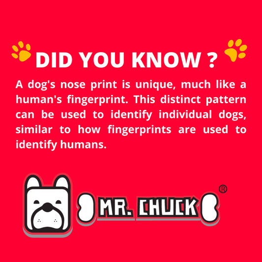 Forget paw prints, It's all about the nose!