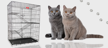 Cat Cages