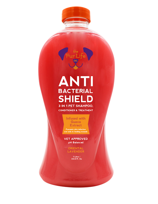 ANTI BACTERIAL SHIELD 3 IN 1 SHAMPOO 1 Liter